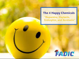 Happy people just don't shoot their husbands, they just don't. The 4 Happy Chemicals In Our Brain How To Become Happy