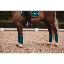 Our long time favorite emerald is finally back in. Bandes De Polo Equestrian Stockholm Emerald
