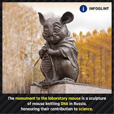 Check spelling or type a new query. Infoglint The Monument To The Laboratory Mouse Is A Sculpture Of Mouse Knitting Dna In Russia Honouring Their Contribution To Science Infoglint Infoglintyoutube Facts Fact Knowledge