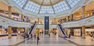 Sherway gardens tips and highlights. 2019 Sherway Gardens Telus Days Of Giving Build Event Neil Squire Society