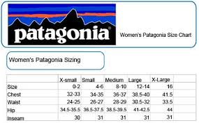 Patagonia Triolet Gore Tex Jacket Womens Find Your Feet