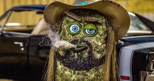 Billy Ray Cyrus Voices An Animated Pot Bud In Angel In My Pocket Video Billy Ray Billy Ray Cyrus Country Music News