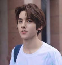 Zuo Linjie 左林杰lyrics and profile