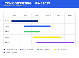 consultant project gantt chart template