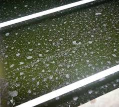 Ini Dia Penanganan Air Kolam Ikan Dengan Ph Tinggi Basa Dan Ph Rendah Asam Biovisi Id