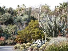 The front yard has vibrant colors. Keep Your Yard Colorful With Drought Tolerant Plants