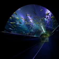 Klcc Aquaria Kuala Lumpur Malaysia Malaysia Travel Malaysia Tour Asia Travel
