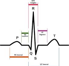 Hasil ekg normal sinus rhythm artinya. Https Journal Uii Ac Id Jurnal Teknoin Article Download 4651 4098