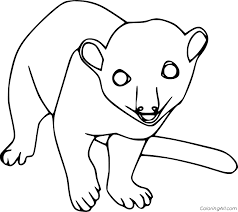 9 free printable kinkajou coloring pages in vector format, easy to print from any device and automatically fit any paper size. Easy Kinkajou Coloring Page Coloringall