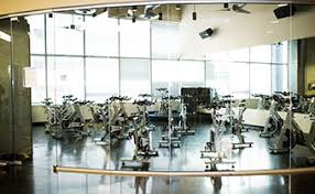 Did you scroll all this way to get facts about cactus fitness? Hotel Gym Kimpton Palomar Phoenix Cityscape