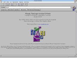 Why don't you let us know. 14 Years Of Netscape Navigator Design History 48 Images Version Museum