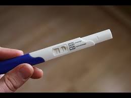 Ce se întâmplă cu corpul tău pe perioada sarcinii? Primele Saptamani De Sarcina Trimestrul 1 Youtube