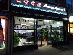 Places brooklyn, new york pet service paws truly bay ridge brooklyn. Amazing Aquarium 2136 86th St Brooklyn Ny 11214 Usa