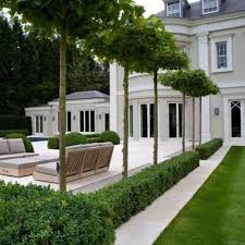 Trees In Large Light Grey Gravel With Low Hedge Border Backyard Landscaping Backyard Luxury Garden
