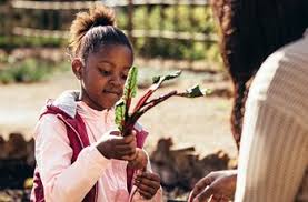 Over time, exposure to heavy metals can harm the health of adults and children. Heavy Metals In The Garden Are Your Home Grown Fruits And Vegetables Safe For Consumption Zrt Laboratory