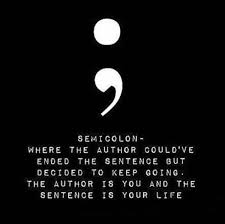 This is often used for a quote within a quote, as in tom said 'what?'. Hard Work Quotes With Semicolons Project Semicolon Projsemicolon Twitter Go For It Quotes Dogtrainingobedienceschool Com