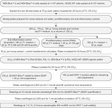 Materials Preparation And Observation Process Flow Chart