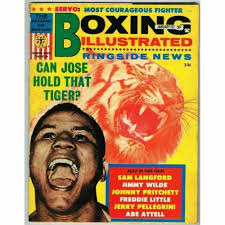 Boxing Hall of Fame: England's Boxing Heroes (Boxings Hall of Fame)-Frank  McGhe 9780747504924