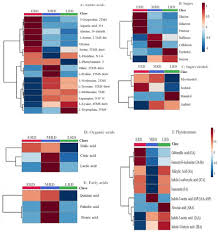 Image result for Xerophyta schlechteri