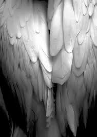 Black And White Angel Wings Aesthetic I Need Some Wings So I Can Find You White Angel Wings Angel Aesthetic Wings Art