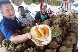 Monthong, which translates to golden pillow in thai, is probably the most widespread durian in thailand; Fly To Penang Just For A Durian Buffet Asianewsnetwork Eleven Media Group Co Ltd
