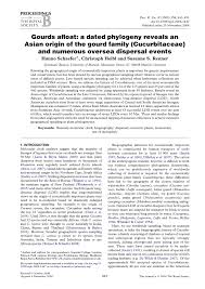 Image result for Raphidiocystis jeffreyana