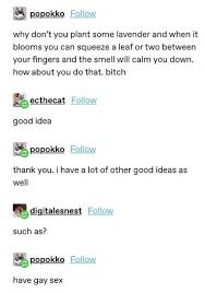 Pin By Javiera Barrientos Medel On Idk In 2020 Stupid Funny Memes Stupid Funny Humor
