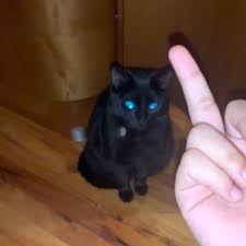 Our take on mild cheddar cheese ups the rich, creamy taste to help make any sandwich a masterpiece. Slice Of Walmart Brand Cheddar Cheese Cheypdf Twitter