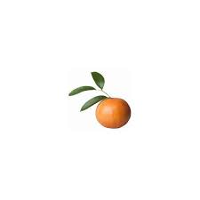 Pin By Lou H On Jus D Orange Fragrance Oil Orange Home Decor Orange House