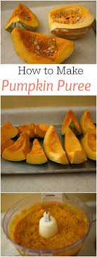 How To Make Pumpkin Puree Jessica In The Kitchen Food Processor Recipes Pumpkin Recipes Pumpkin Puree
