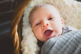 Photography by Nicole