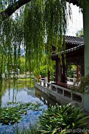 Harshalshah Chinese Garden Sydney Chinese Garden Gardens Of The World Asian Garden