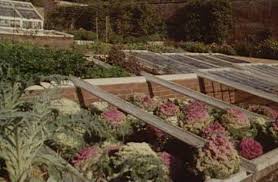 Lynn ocone, a gardening expert and an author, uses her cold frame every year at her home in chilly burlington, vt. Cold Frames Uses Of Coldframes Types Of Coldframe