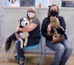 Come meet perkins county animal shelter's pets. Wayne County Humane Society Awarded Lifesaving Grant For Animals