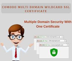 Multi Domain Wildcard Ssl Is A Superb Alternative For The Users Want To Secure Multiple Domains At The Side Of A Limitless Rang Ssl Certificate Ssl Certificate