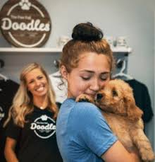 F1b goldendoodles are the most hypoallergenic type of doodle that there is! Best 6 Goldendoodle Breeders In Illinois 2021 We Love Doodles