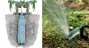 Comment Fabriquer Un Arrosage Automatique Pour Tomates Avec Une Bouteille Que Cuisine Glass Vase Vase Glass