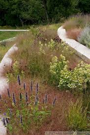 A Golden Year The New Perennialist On A Roll Grasses Landscaping Grasses Garden Plants