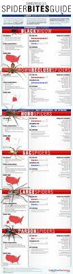 To treat a brown recluse spider bite, immediately wash it and apply an ice pack. Spider Bites Guide Spider Bite Symptoms Treatment Domyown Com