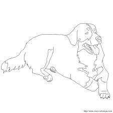 Bernese mountain dog coloring pages. Coloring Dogs Page Bernese Mountain Dog