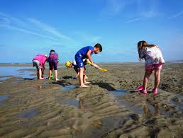 Surf casting club berck sur mer. La Plage Office De Tourisme De Berck Sur Mer En Cote D Opale