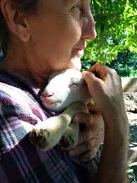 Nora Vecchio's Instagram, Twitter & Facebook