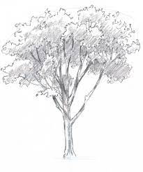 Pin On Drawing
