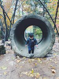 Life Lately Xxvi Lows To Luxe Family Halloween Costumes Family Halloween Lincoln Park Zoo