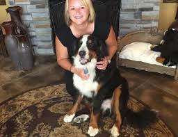 Check spelling or type a new query. A New Service To Honor Your Furry Family Members Value News Articles