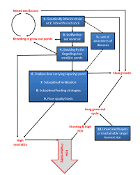 10 paths to low productivity and profitability with tilapia