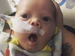 Fundraiser for Rachel Lackey by Rebecca Gabrielle : Healing for Elisha  Jackson Lackey