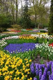 Colorful Flower Garden Free Photos For Free Download Flower Garden Pictures Flower Garden Images Garden Pictures