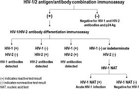 Hiv stands for human immunodeficiency virus. Human Immunodeficiency Virus Diagnostic Testing 30 Years Of Evolution Clinical And Vaccine Immunology