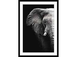 It is one of the big four, the most prestigious classical in the world. Cadre Animaux Elephant En Noir Et Blanc Pas Cher